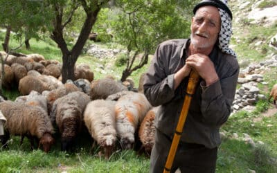 Palestine: Donnons-leur les moyens
