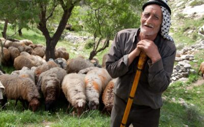 Filistin: Onlara gelişim araçları sunun
