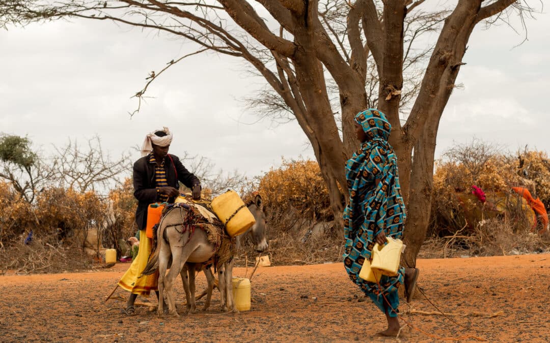 Kenya : La sécheresse fait rage