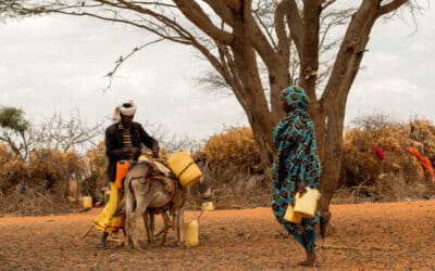 Kenya : La sécheresse fait rage