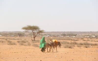 Ethiopie : Face aux sécheresses répétées