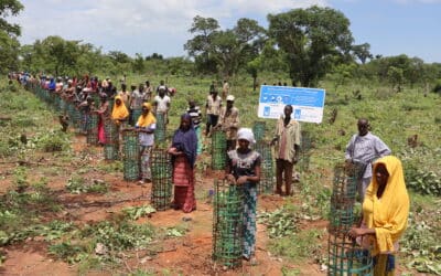 Faraba Lèda : Comment Karama Solidarity Transforme des Vies au Mali
